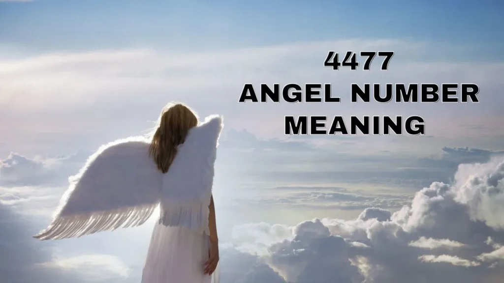 Angel Number 4477 meaning