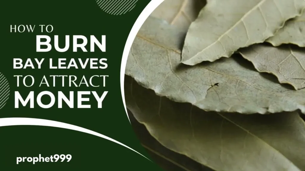bay leaf manifestation method